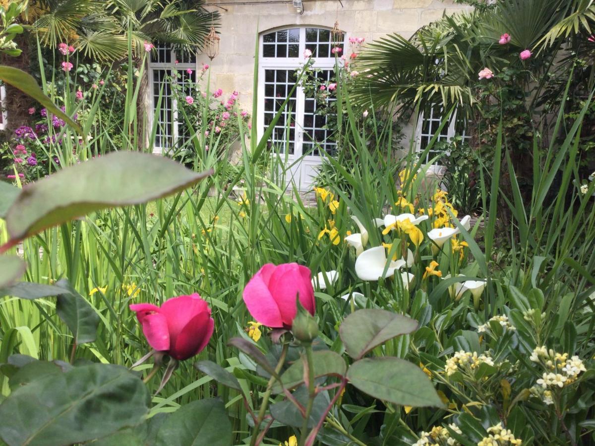 L'Orangerie Du General Bed and Breakfast Saint-Jean-dʼAngély Exteriör bild
